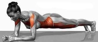 How To Do The Basic Plank